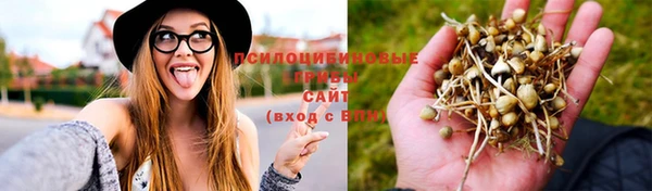 мяу мяу мука Арсеньев