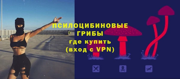 мяу мяу мука Арсеньев