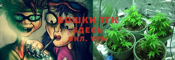 мяу мяу мука Арсеньев