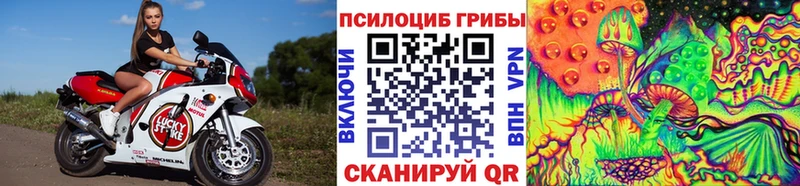 KRAKEN ССЫЛКА  Ивантеевка  Галлюциногенные грибы мицелий 